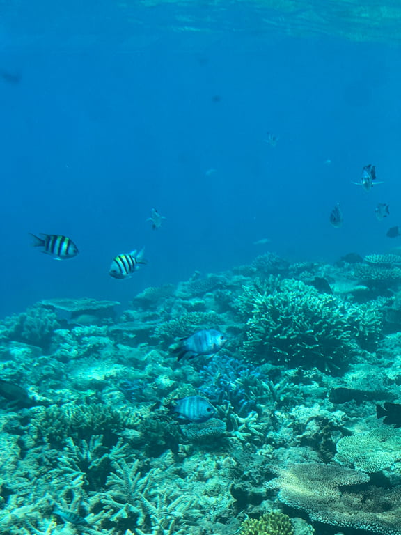 Best Destination - Great Barrier Reef, Cairns, Australia