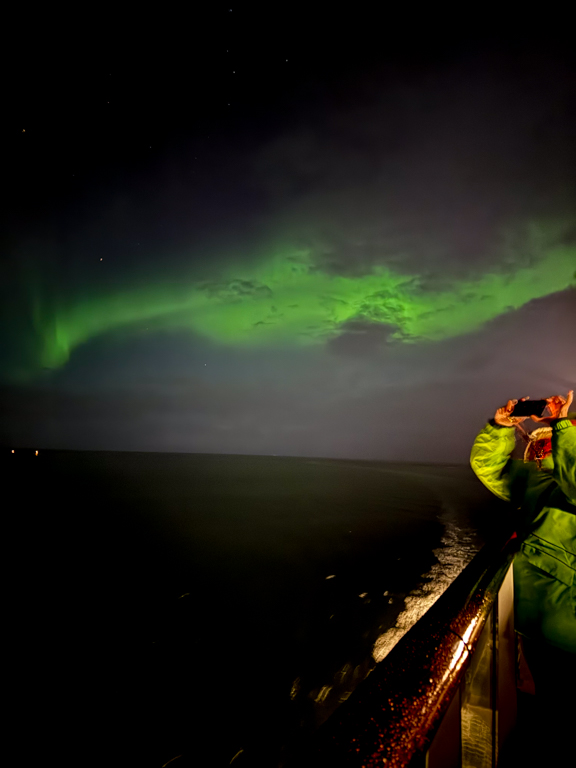 Viking In Search of Northern Lights