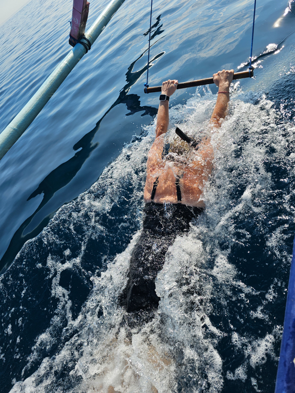 Swimming with dolphins in Bali