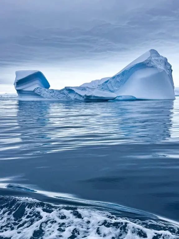 Antarctica SOB excursion
Iceberg