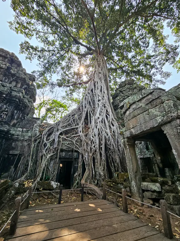 Ta Prohm
Siem Reap, Cambodia