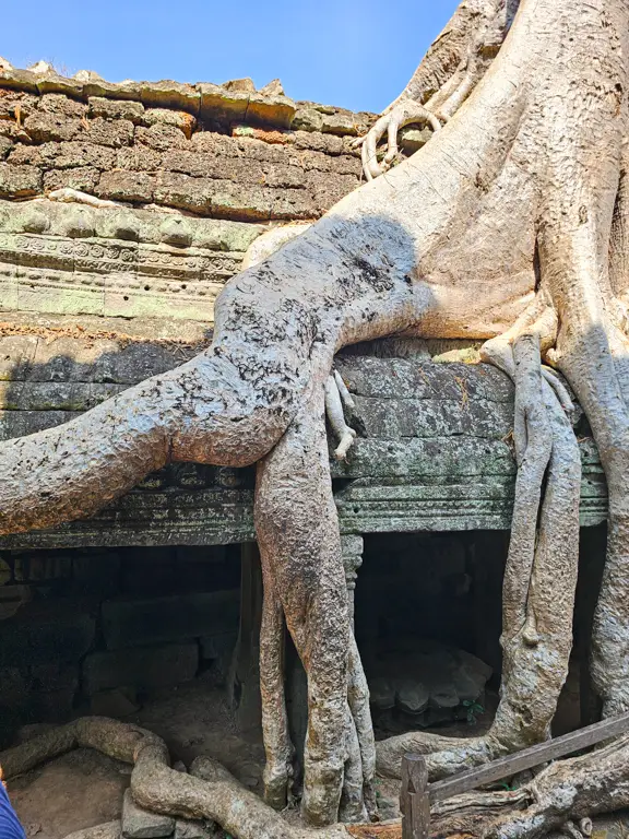 Ta Prohm
Siem Reap, Cambodia