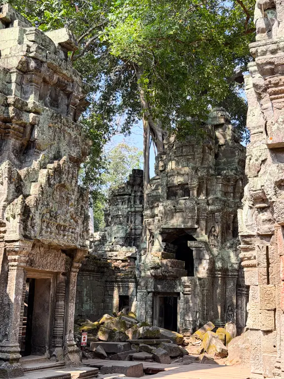 Ta Prohm
Siem Reap, Cambodia
