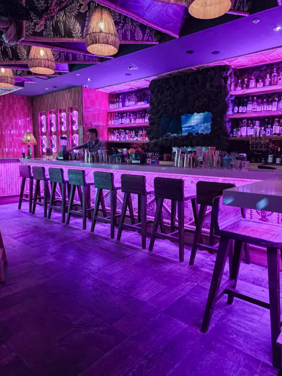 The Grass Skirt
Speakeasy
San Diego, Pacific Beach